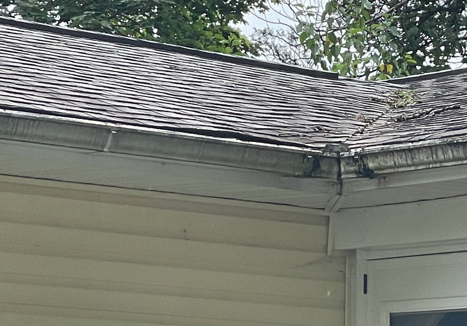 curled-shingles-indicate-attention-is-needed